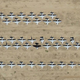 Illustration for article titled Lockheed Wants To Bring The S-3 Viking Back From The Dead